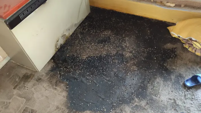 Последици от късно открита кончина в жилище