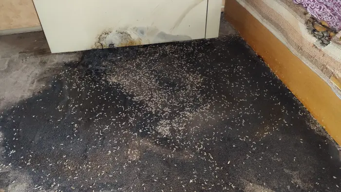 Професионална етика при почистване след смъртен случай