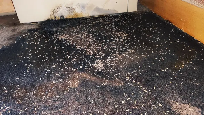 Защо битовите методи не работят при почистване след смърт